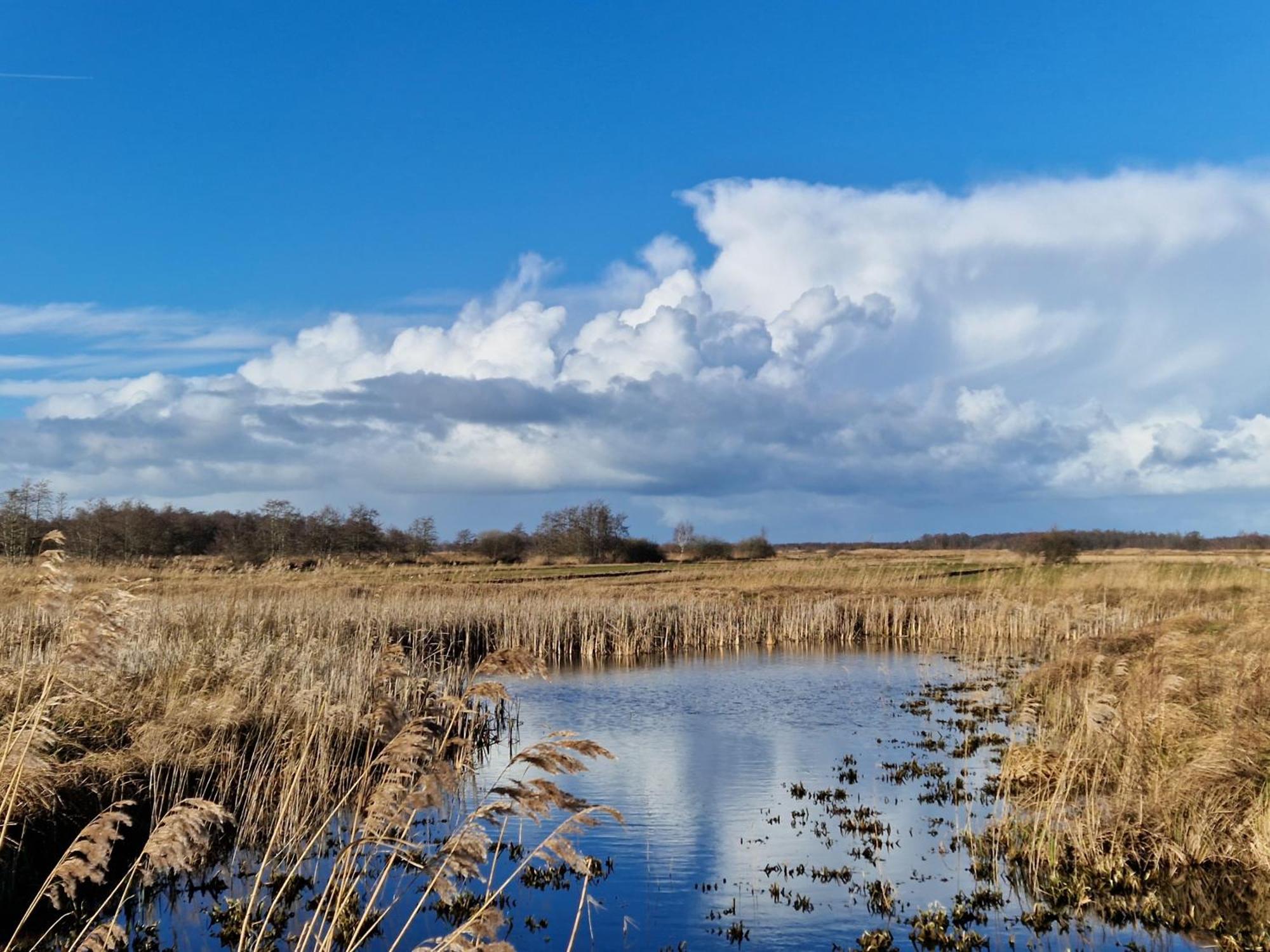 De Wiedenweide Wanneperveen ภายนอก รูปภาพ